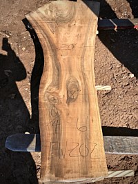 English Walnut